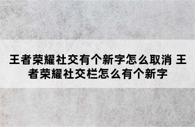 王者荣耀社交有个新字怎么取消 王者荣耀社交栏怎么有个新字